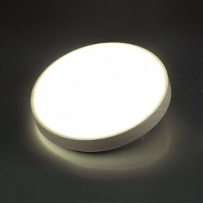 Накладной светильник Sonex Losta 7628/CL в Урае - uray.ok-mebel.com | фото 3