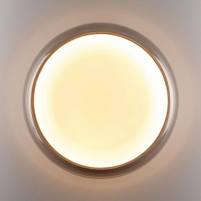Накладной светильник Sonex PORTMAN 7777/DLN в Урае - uray.ok-mebel.com | фото 6