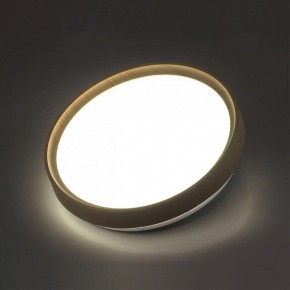 Накладной светильник Sonex Woodi 7603/CL в Урае - uray.ok-mebel.com | фото 3