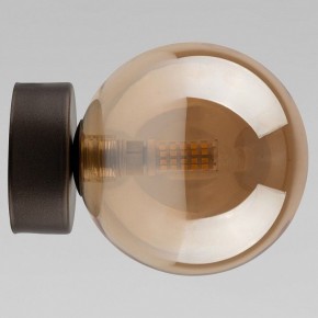Накладной светильник TK Lighting Estera 10256 Estera в Урае - uray.ok-mebel.com | фото