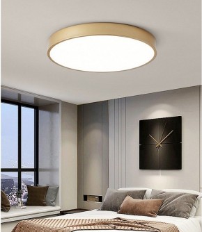 Накладной светильник TopDecor Union Union P2 33 в Урае - uray.ok-mebel.com | фото 3