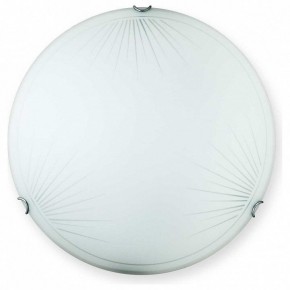 Накладной светильник TopLight Wifa TL9142Y-00WH в Урае - uray.ok-mebel.com | фото