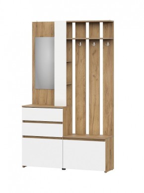НЕКСТ 1 Вешалка с зеркалом + Шкаф 2-х ств. с ящиками в Урае - uray.ok-mebel.com | фото 4
