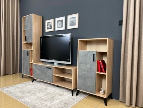 ОСКАР TRIO Гостиная (дуб золотой/каспий темный) в Урае - uray.ok-mebel.com | фото 3