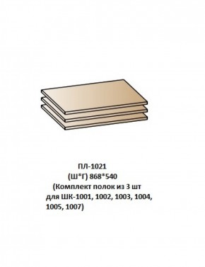 ПЛ-1021 (Комплект полок из 3 шт для ШК-1001, 1002, 1003, 1004, 1005, 1007) в Урае - uray.ok-mebel.com | фото