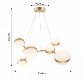 Подвесная люстра Favourite Asterismo 4448-6P в Урае - uray.ok-mebel.com | фото 5