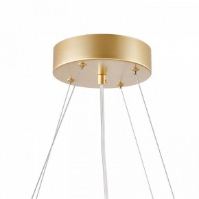 Подвесная люстра Favourite Asterismo 4448-6P в Урае - uray.ok-mebel.com | фото 9
