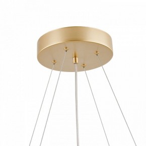 Подвесная люстра Favourite Asterismo 4448-8P в Урае - uray.ok-mebel.com | фото 8