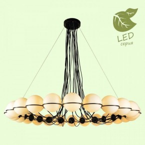 Подвесная люстра Lussole Seneca GRLSP-8176 в Урае - uray.ok-mebel.com | фото 3