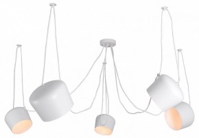 Подвесная люстра Lussole Shirley LSP-8175 в Урае - uray.ok-mebel.com | фото
