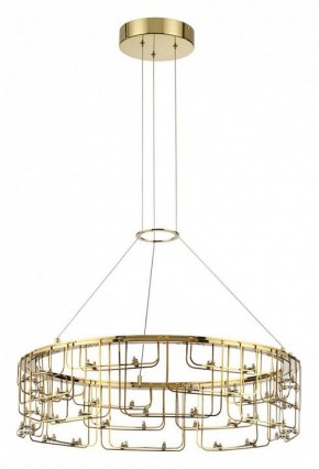 Подвесная люстра Odeon Light ZAHA 7060/44L в Урае - uray.ok-mebel.com | фото 2