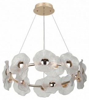 Подвесная люстра Rivoli Shannon Б0061947 в Урае - uray.ok-mebel.com | фото 4