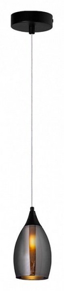 Подвесной светильник Arte Lamp Barry A7951SP-1BK в Урае - uray.ok-mebel.com | фото 2