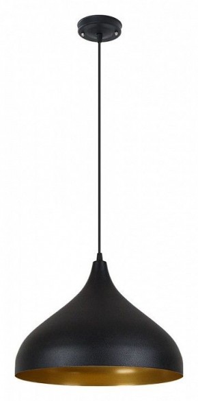 Подвесной светильник Arte Lamp Carmel A7076SP-1BK в Урае - uray.ok-mebel.com | фото 2