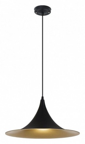 Подвесной светильник Arte Lamp Carmel A7080SP-1BK в Урае - uray.ok-mebel.com | фото 2