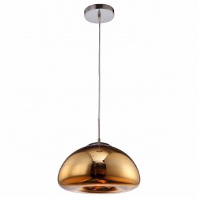 Подвесной светильник Arte Lamp Swift A8041SP-1GO в Урае - uray.ok-mebel.com | фото 2