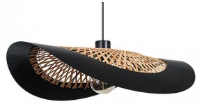 Подвесной светильник Arte Lamp Woodstock A7059SP-1BK в Урае - uray.ok-mebel.com | фото