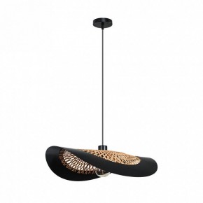 Подвесной светильник Arte Lamp Woodstock A7059SP-1BK в Урае - uray.ok-mebel.com | фото 2