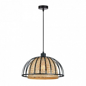 Подвесной светильник Arte Lamp Woodstock A7071SP-1BK в Урае - uray.ok-mebel.com | фото
