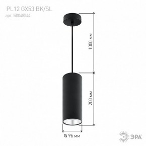 Подвесной светильник Эра  PL12 GX53 BK/SL в Урае - uray.ok-mebel.com | фото 8