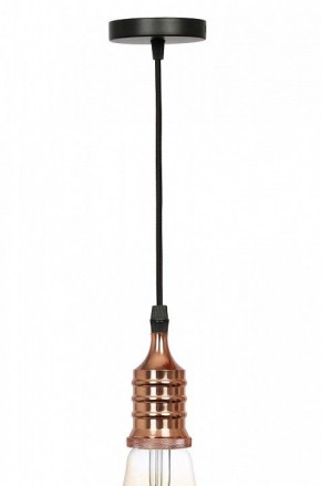 Подвесной светильник Эра PL13 Б0048525 в Урае - uray.ok-mebel.com | фото 3