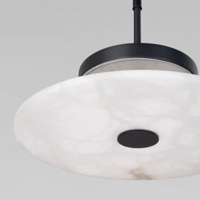 Подвесной светильник Eurosvet Thasos 40342 LED черный в Урае - uray.ok-mebel.com | фото 8