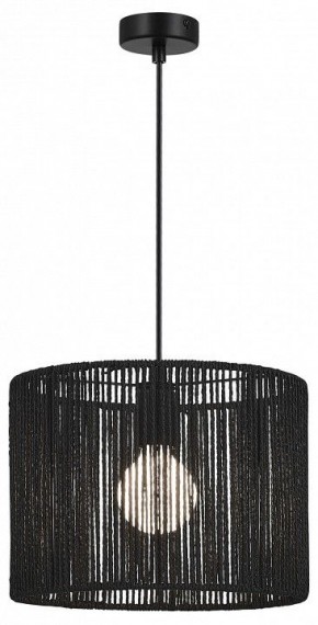 Подвесной светильник EVOLUCE ETTAN SLE6024-403-01 в Урае - uray.ok-mebel.com | фото 2
