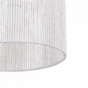 Подвесной светильник EVOLUCE ETTAN SLE6024-503-01 в Урае - uray.ok-mebel.com | фото 8