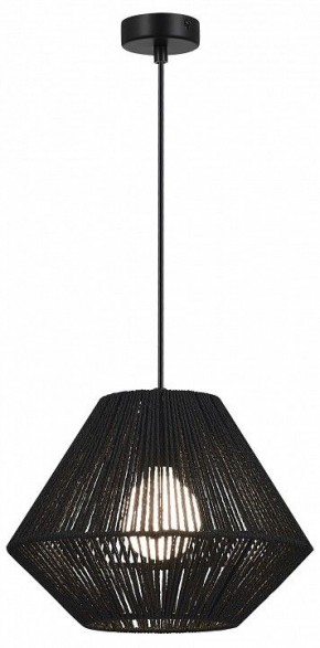 Подвесной светильник EVOLUCE ETTAN SLE6025-403-01 в Урае - uray.ok-mebel.com | фото 2
