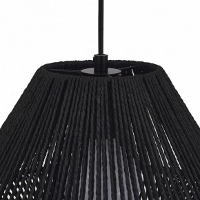 Подвесной светильник EVOLUCE ETTAN SLE6025-403-01 в Урае - uray.ok-mebel.com | фото 7