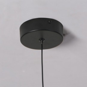 Подвесной светильник Favourite Wilet 4656-1P в Урае - uray.ok-mebel.com | фото 10