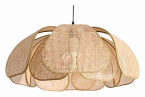 Подвесной светильник Freya Cocoon FR5529PL-01B в Урае - uray.ok-mebel.com | фото