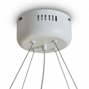 Подвесной светильник Freya Rain FR5546PL-L60W в Урае - uray.ok-mebel.com | фото 9