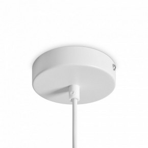 Подвесной светильник Freya Shapes FR5530PL-L10W в Урае - uray.ok-mebel.com | фото 5