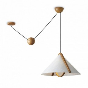 Подвесной светильник Freya Umbra FR5554CL-01T в Урае - uray.ok-mebel.com | фото 2