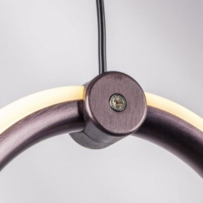 Подвесной светильник Lightstar Caramello 796169 в Урае - uray.ok-mebel.com | фото 10