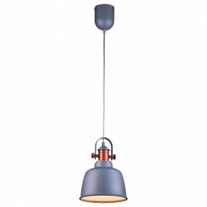 Подвесной светильник Lucia Tucci Industrial INDUSTRIAL 1820.1 SAND SILVER в Урае - uray.ok-mebel.com | фото 2