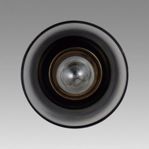Подвесной светильник Lumion Isha 8101/1A в Урае - uray.ok-mebel.com | фото 4