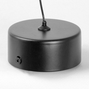 Подвесной светильник Lussole Blount LSP-7356 в Урае - uray.ok-mebel.com | фото 6