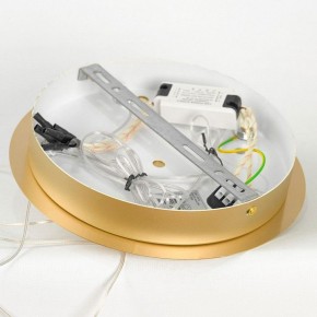 Подвесной светильник Lussole Hopkins LSP-7400 в Урае - uray.ok-mebel.com | фото 5