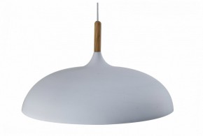 Подвесной светильник Moderli Hygo V11447-1P в Урае - uray.ok-mebel.com | фото