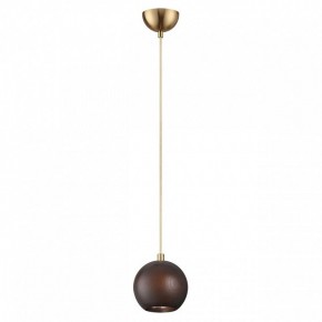 Подвесной светильник Odeon Light Caucho 7062/1 в Урае - uray.ok-mebel.com | фото 4