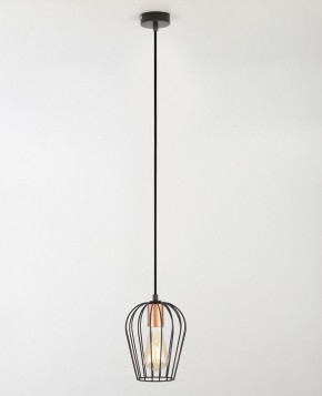 Подвесной светильник Rivoli Atena Б0047367 в Урае - uray.ok-mebel.com | фото 4
