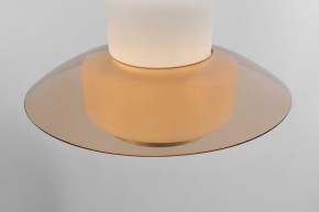 Подвесной светильник Rivoli Camille Б0061901 в Урае - uray.ok-mebel.com | фото 10