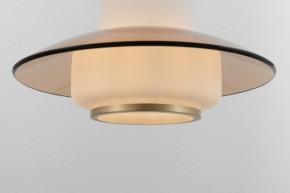 Подвесной светильник Rivoli Camille Б0061901 в Урае - uray.ok-mebel.com | фото 11