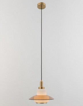 Подвесной светильник Rivoli Camille Б0061901 в Урае - uray.ok-mebel.com | фото 4