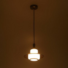 Подвесной светильник Rivoli Camille Б0061901 в Урае - uray.ok-mebel.com | фото 6
