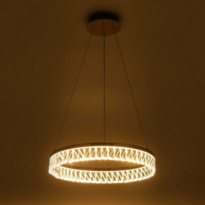 Подвесной светильник Rivoli Erika Б0061968 в Урае - uray.ok-mebel.com | фото 7