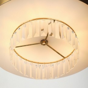 Подвесной светильник Rivoli Vickie Б0061902 в Урае - uray.ok-mebel.com | фото 11