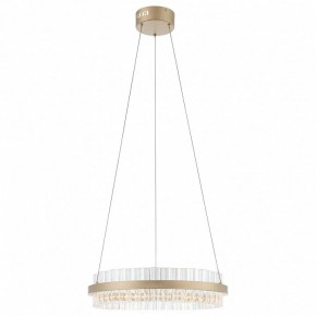 Подвесной светильник ST-Luce Cherio SL383.203.01 в Урае - uray.ok-mebel.com | фото 3
